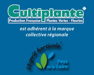 CULTIPLANTE - esprit horticole